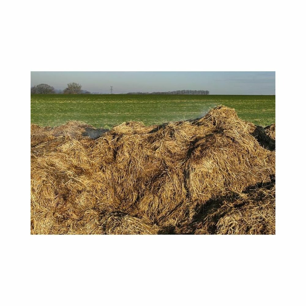 Fumier de cheval biologique 20 kg 1