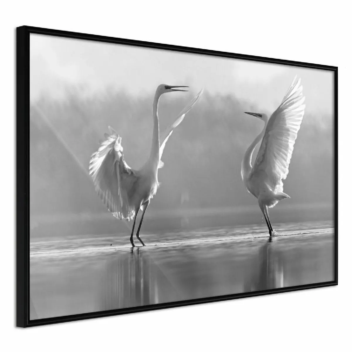 Paris Prix Affiche Encadrée Black and White Herons - 90 x 60 cm Noir