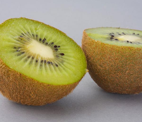 Kiwi 'Hayward', weiblich