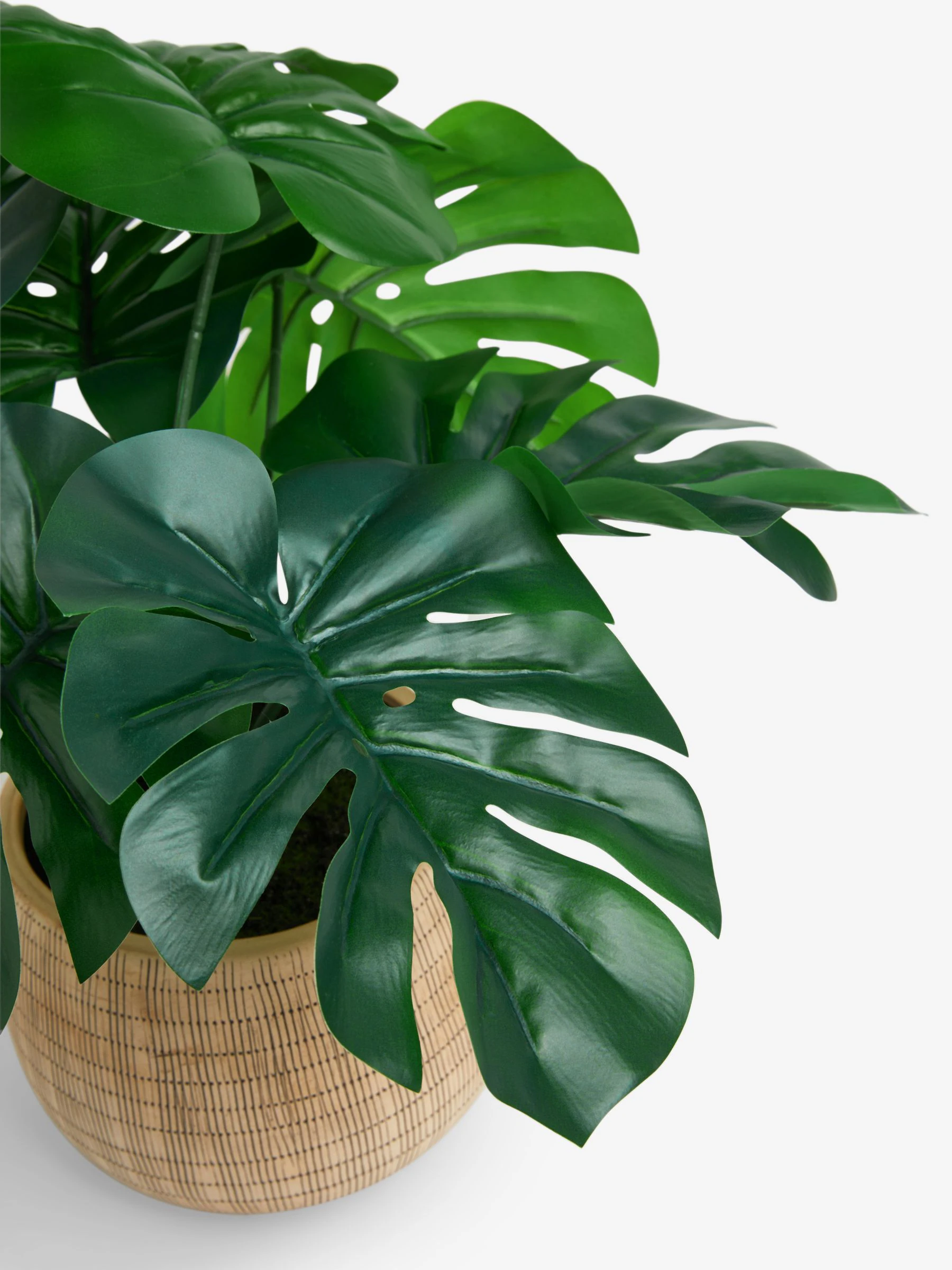 Artificial Monstera Plant In Natural Ceramic Vase