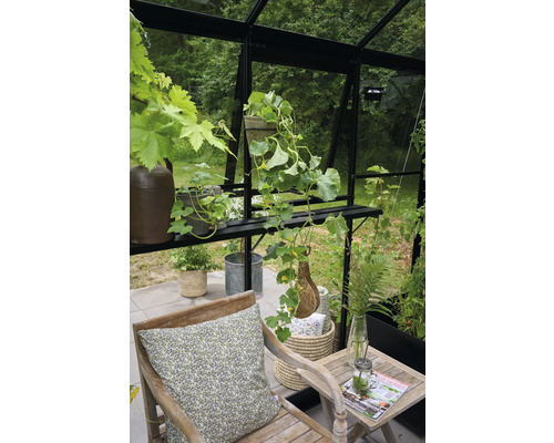 Kas Halls Qube Square 6,3 m² Veiligheidsglas 3 mm 251 x 251 cm zwart
