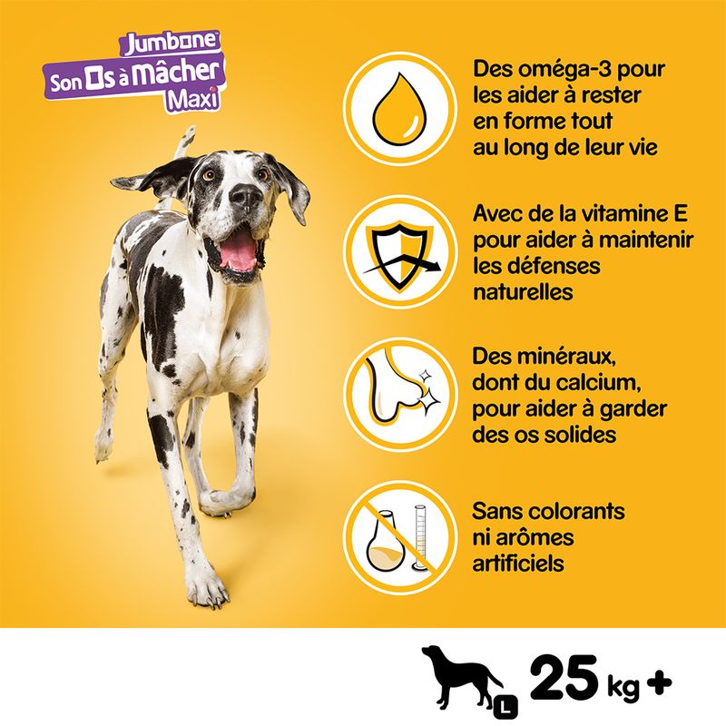 Son Os à mâcher Pedigree Maxi