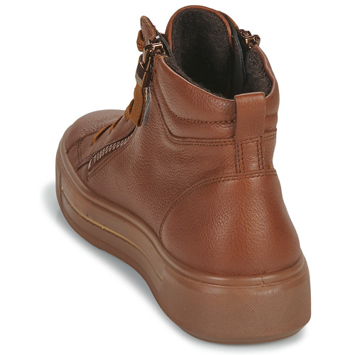 Ara - COURTYARD 2.0 - Cognac