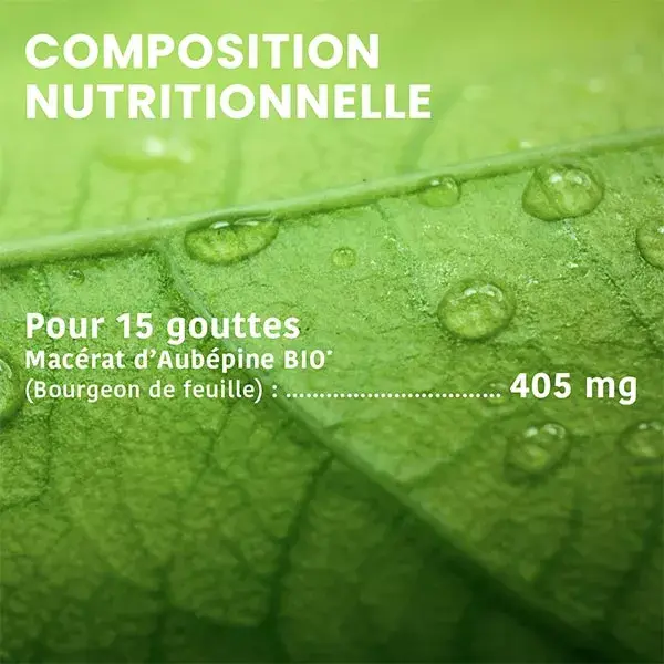 Santarome Bio - Broto de Espinheiro Orgânico - Gemoterapia - Frasco de 30ml