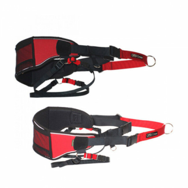 Baudrier ceinture canicross et canitrail Canistrail Kn1