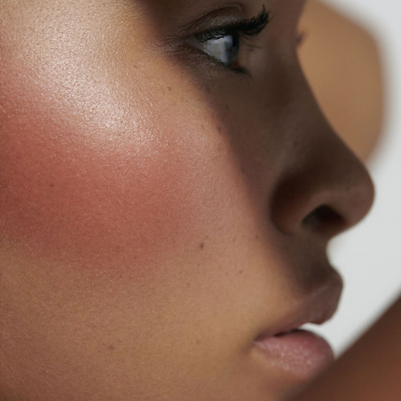 Dr. Hauschka Baume Stick Lèvres et Joues