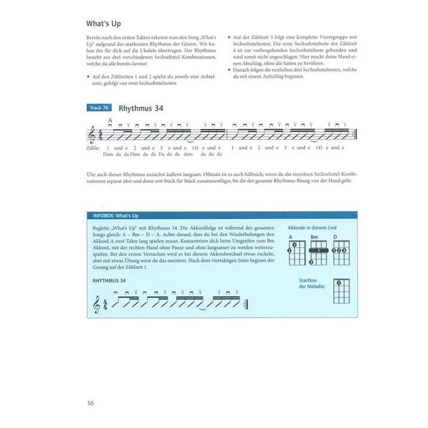 Schott Ukulele spielen Hobby 2