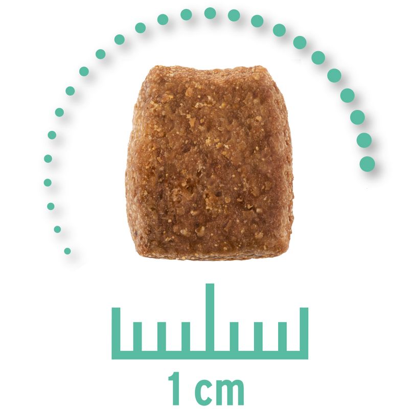 Concept for Life Veterinary Diet Hypoallergenic Insect