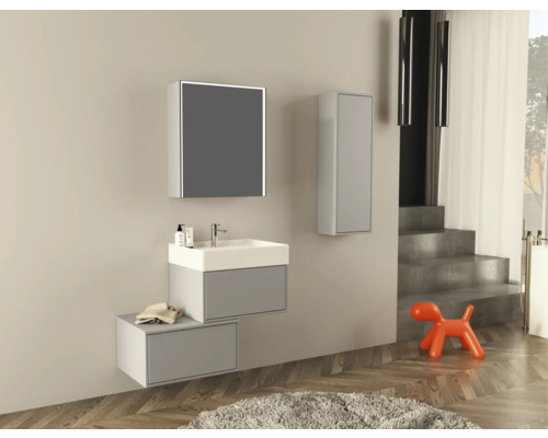 Jungborn wastafelmeubel NOVE BxHxD 60 x 30 x 46 cm Frontkleur grijs mat 55763
