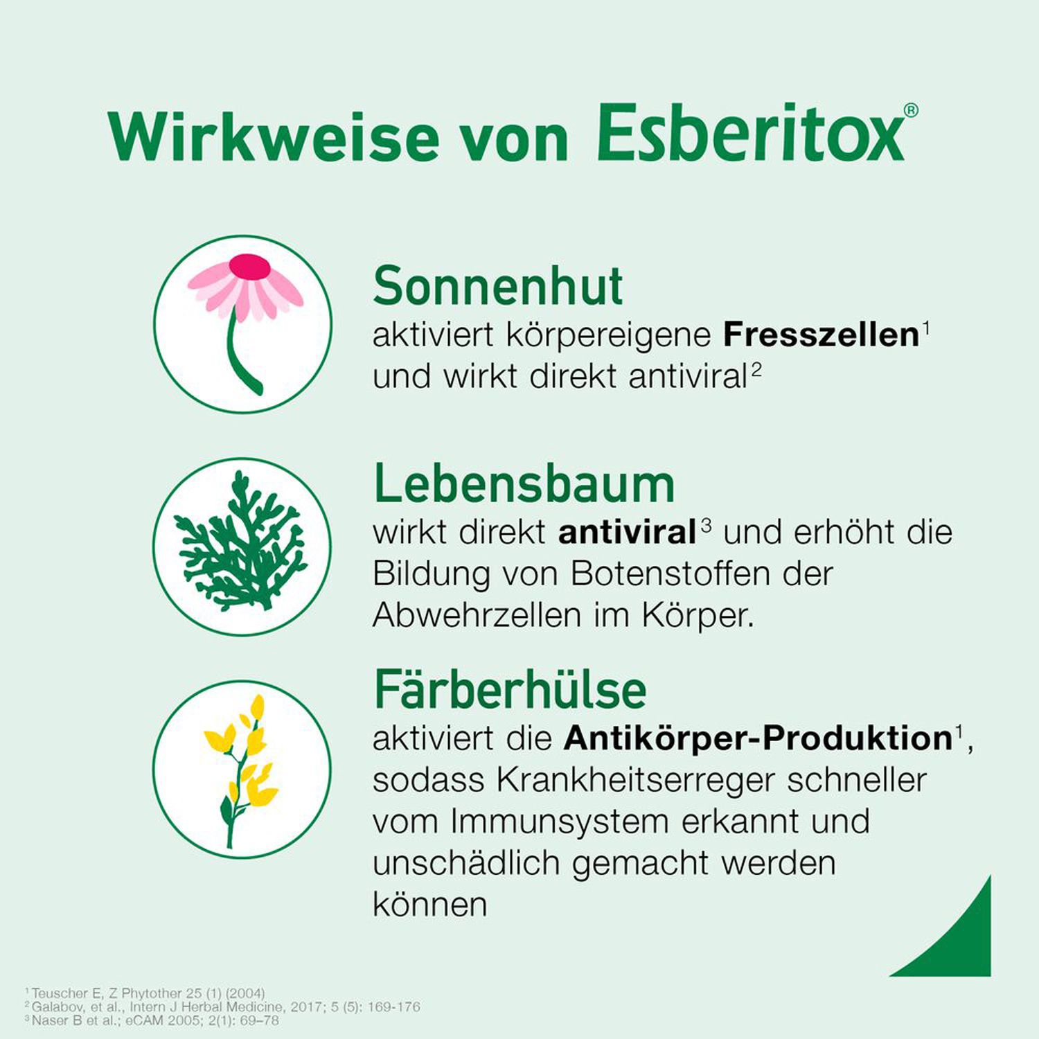 Esberitox Tabletten bei Erkältungskrankheiten