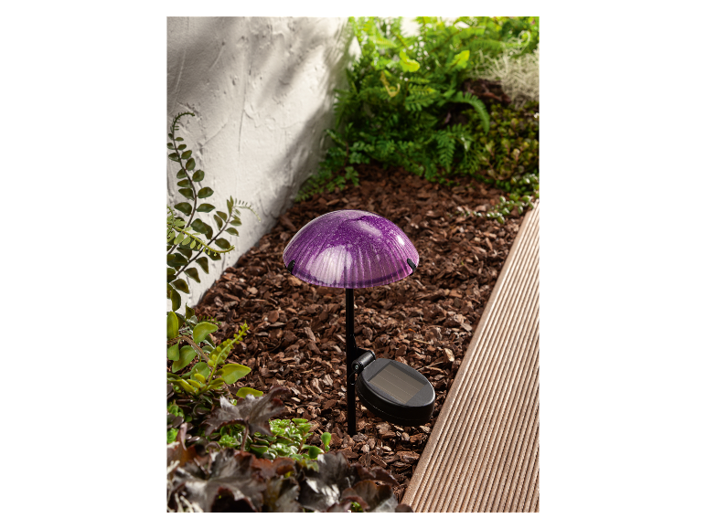 Solar LED-paddenstoel