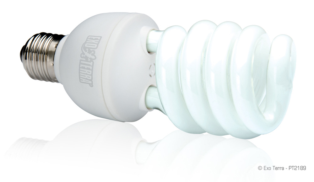 Ampoule fluocompact climat désertique uvb 150 reptiles 13 w
