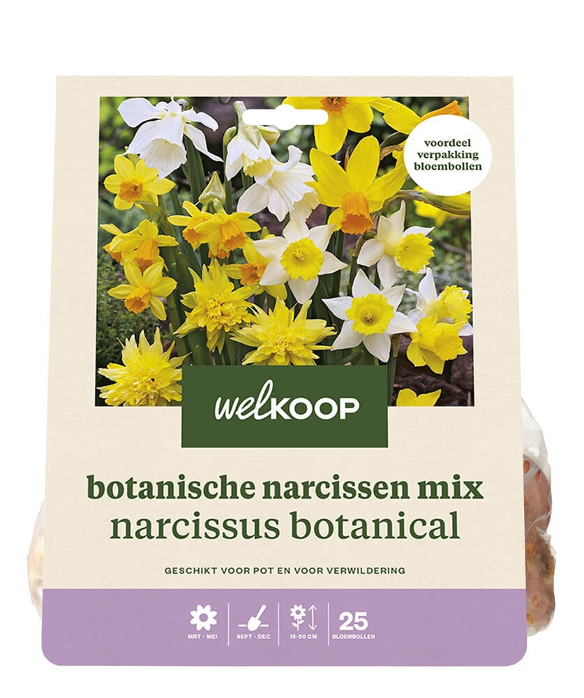 Welkoop Narcis Marjan - Bloembollen