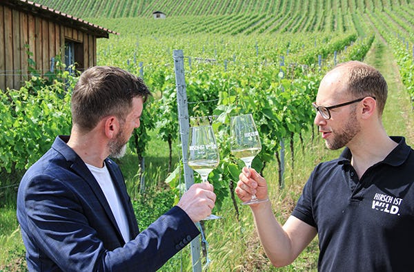 Online Weinprobe