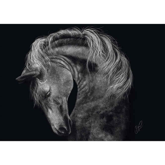 Puzzle - Ashley Rader - Power - Pferd - 1000 Teile