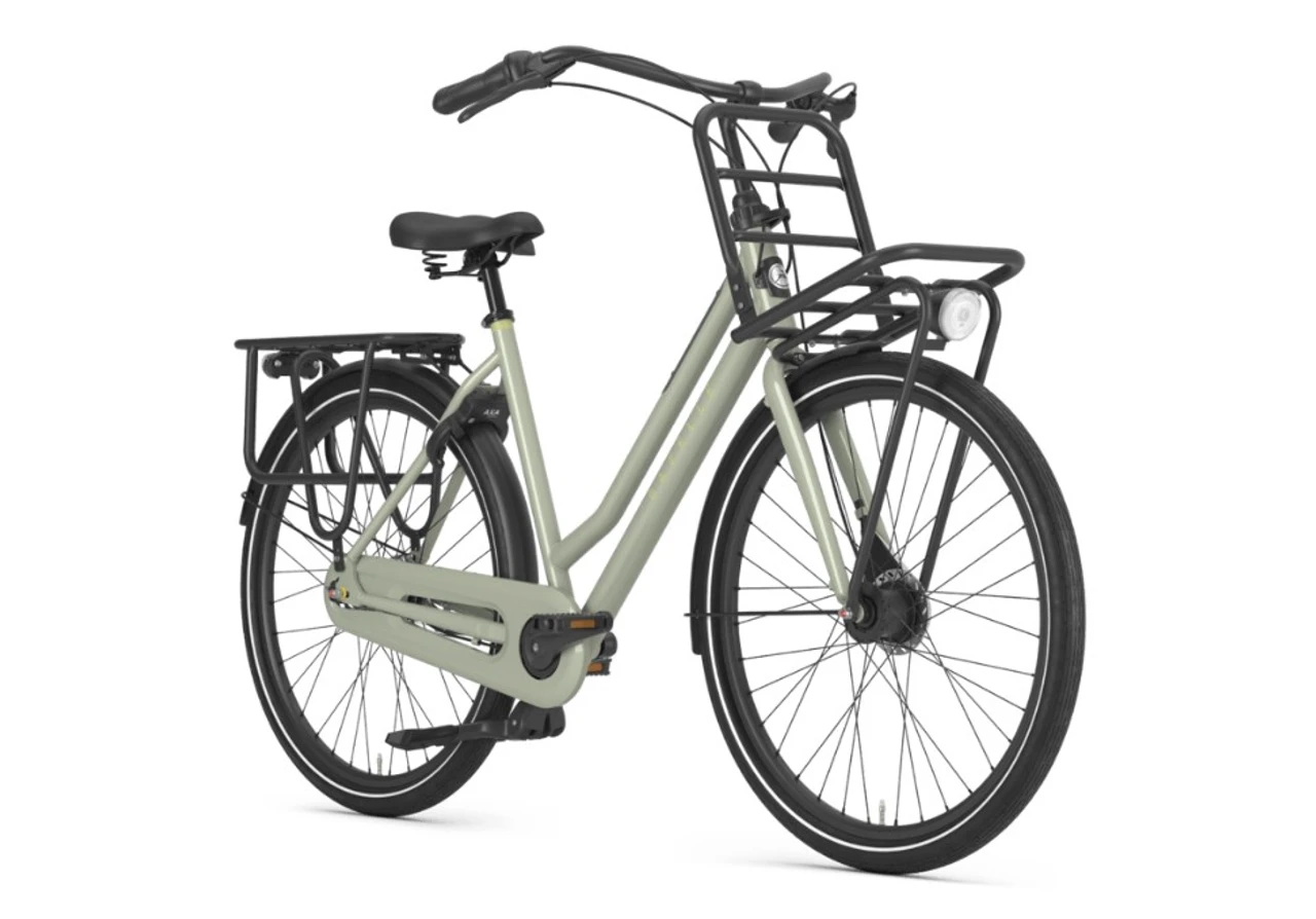 Gazelle HeavyDutyNL T3 2024