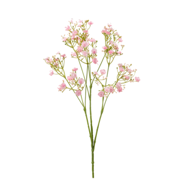 Gypsophila spray roze 68cm