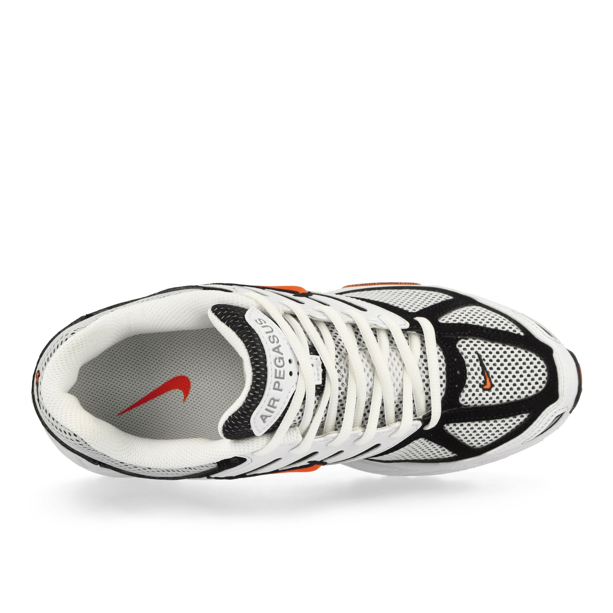 Nike<br>Air Pegasus 2005