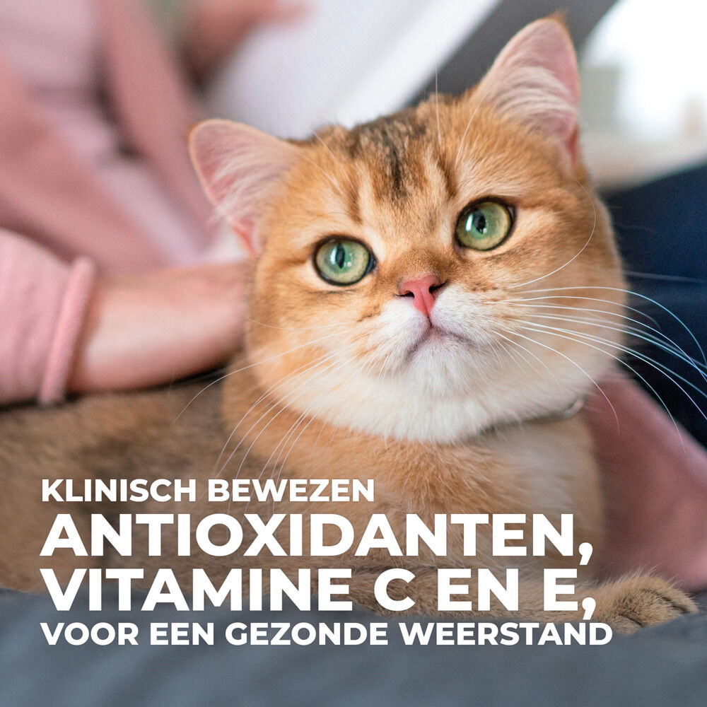 Hill's Science Plan Senior - Kattenvoer - 12x85 gram - 1020 Gram - vis, kip