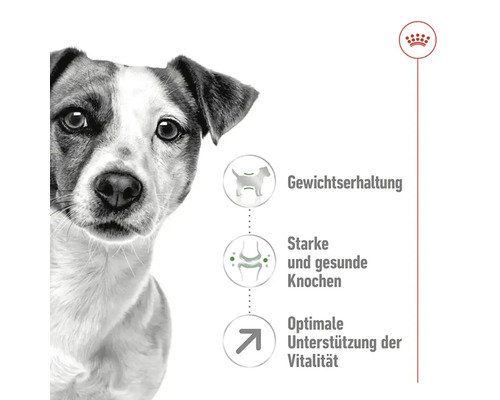Droog hondenvoer, ROYAL CANIN Mini Mature 0,8 kg