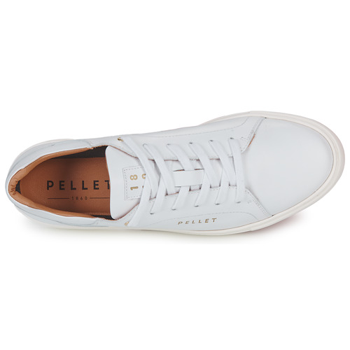 Pellet - JOSEPH - VEAU BLANC