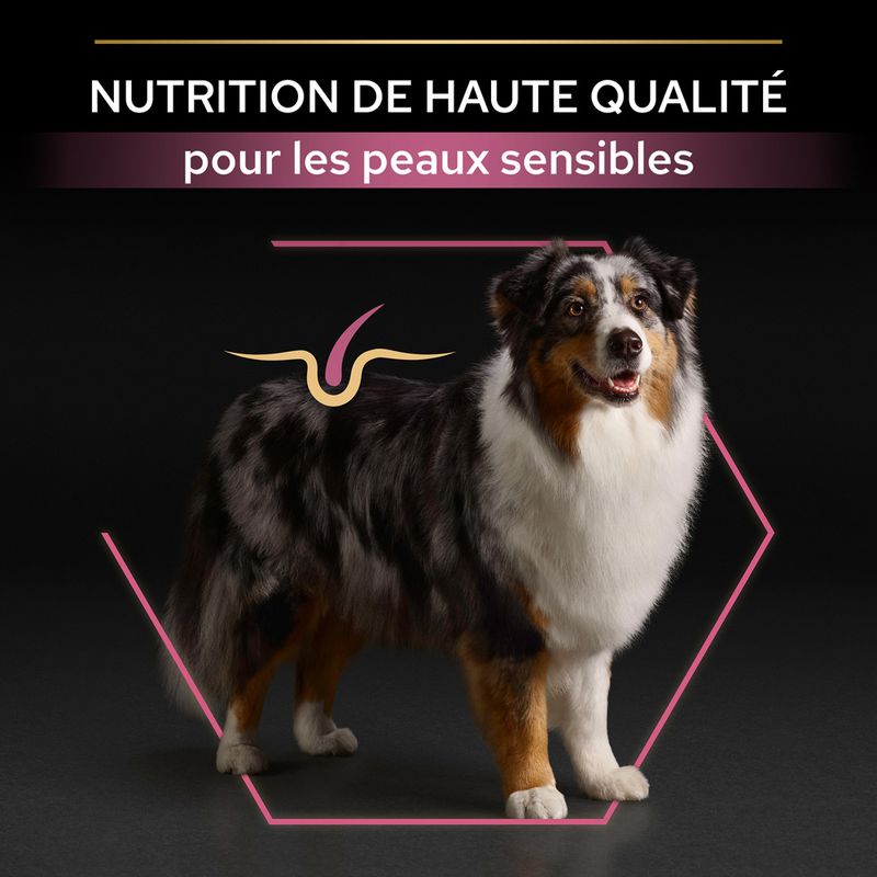 PURINA PRO PLAN Medium & Large Adult 7+ Sensitive Skin