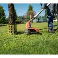 Manchon de protection pour tronc d'arbre, vert