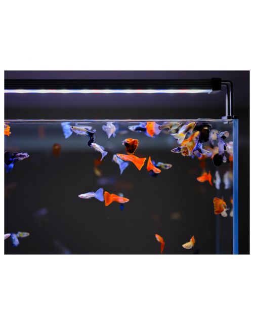 Twinstar Light Ii - Verlichting - 45b