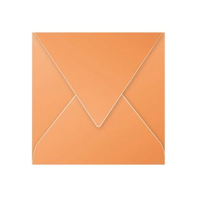Pollen - 20 Enveloppes - 140 x 140 mm - 120 g/m² - clémentine