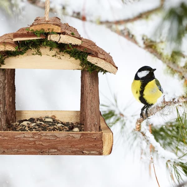 Fuglemater med bark