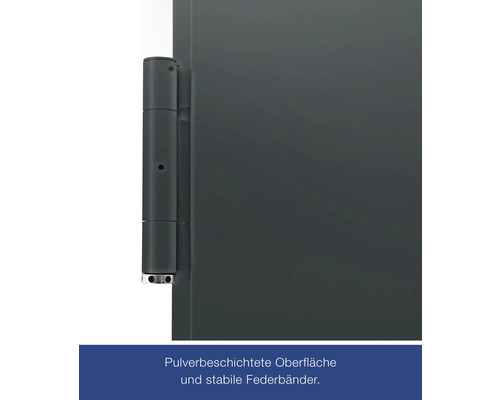 Hörmann multifunctionele kelderdeur met glaspaneel, RAL 7016 antracietgrijs, 1000x2000 mm, omkeerbaar (links/rechts), incl. matglas