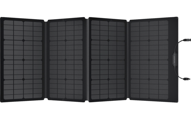 EcoFlow Tragbares Solarpanel 110 W