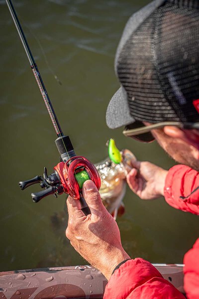 Canne Casting Fox Rage Warrior Zander Cast 2.1m (10-40g)