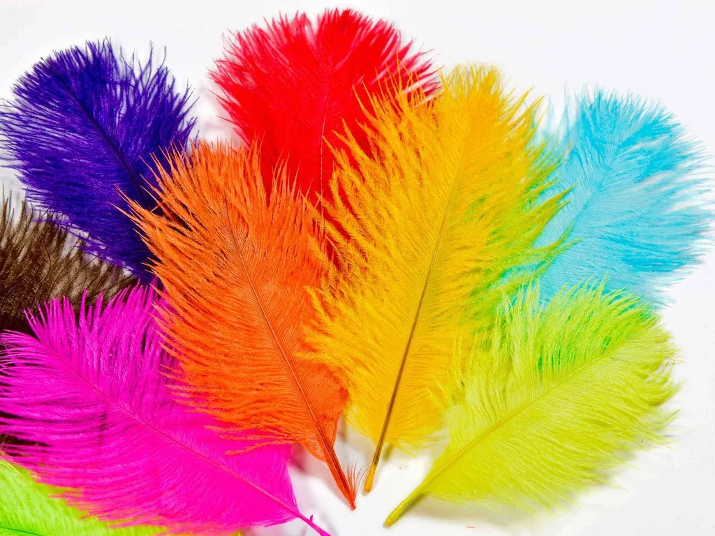 Frodin Flies Frödin Ostrich Body Feather Pack 10 Farger, 100 Fjær