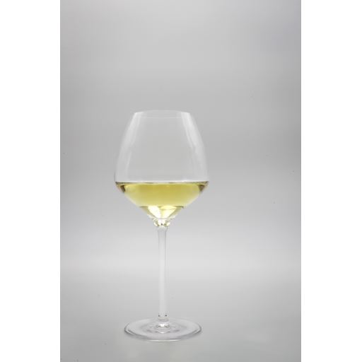 Endeavour White Sand 4-pak Hvidvinsglas, Klar, 46 cl