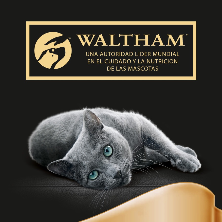 Gelatina Sheba Delicatezze para Pássaros em Sachês para Gatos - Pacote com Vários