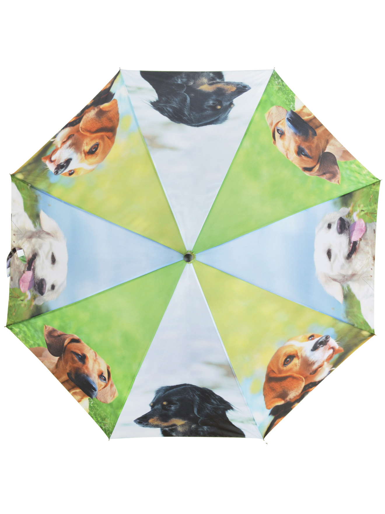 Parapluie fantaisie motifs chiens