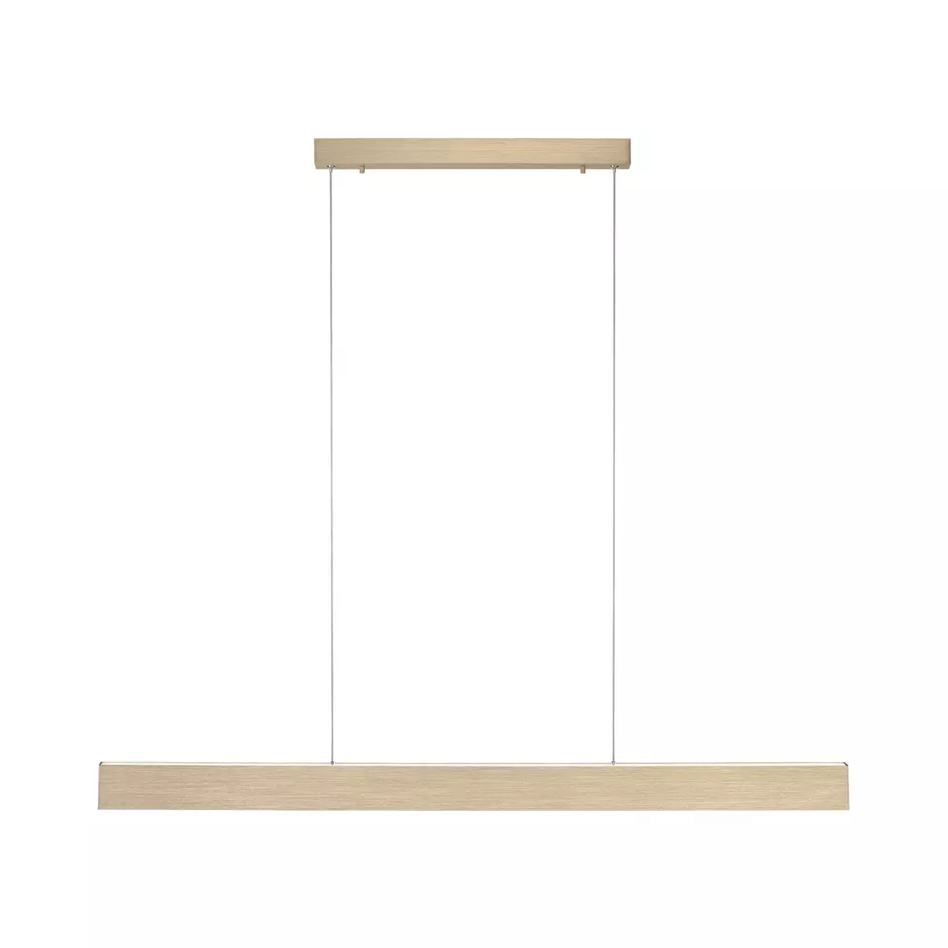 LED-Pendelleuchte Pure-Motion