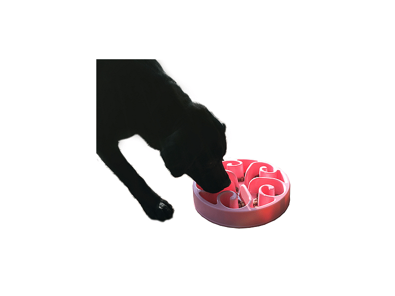 Eat Slow Live Longer Feeder Hond Small Blauw