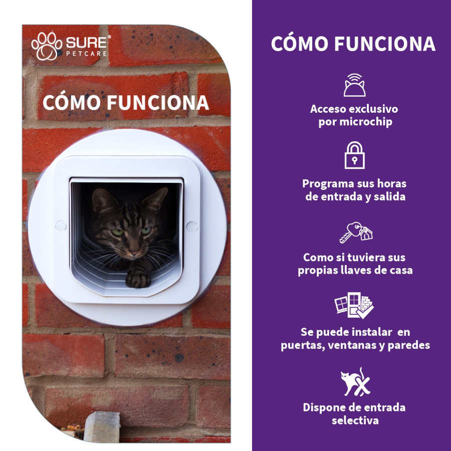 Porta automática Sure Petcare SureFlap branca com microchip