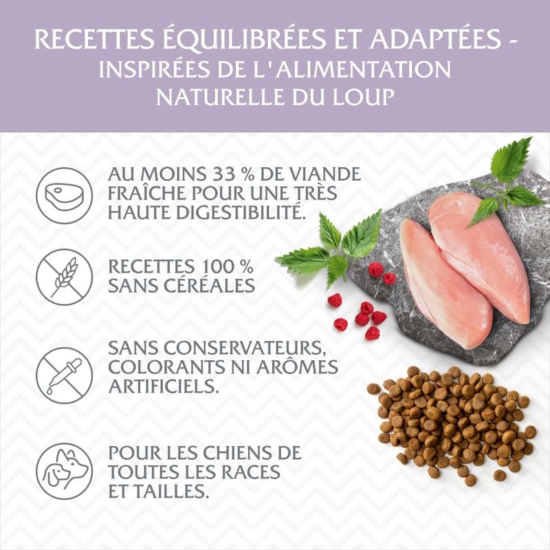 Wolf of Wilderness Junior, canard pour chiot