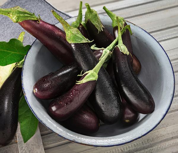 Türkische Aubergine