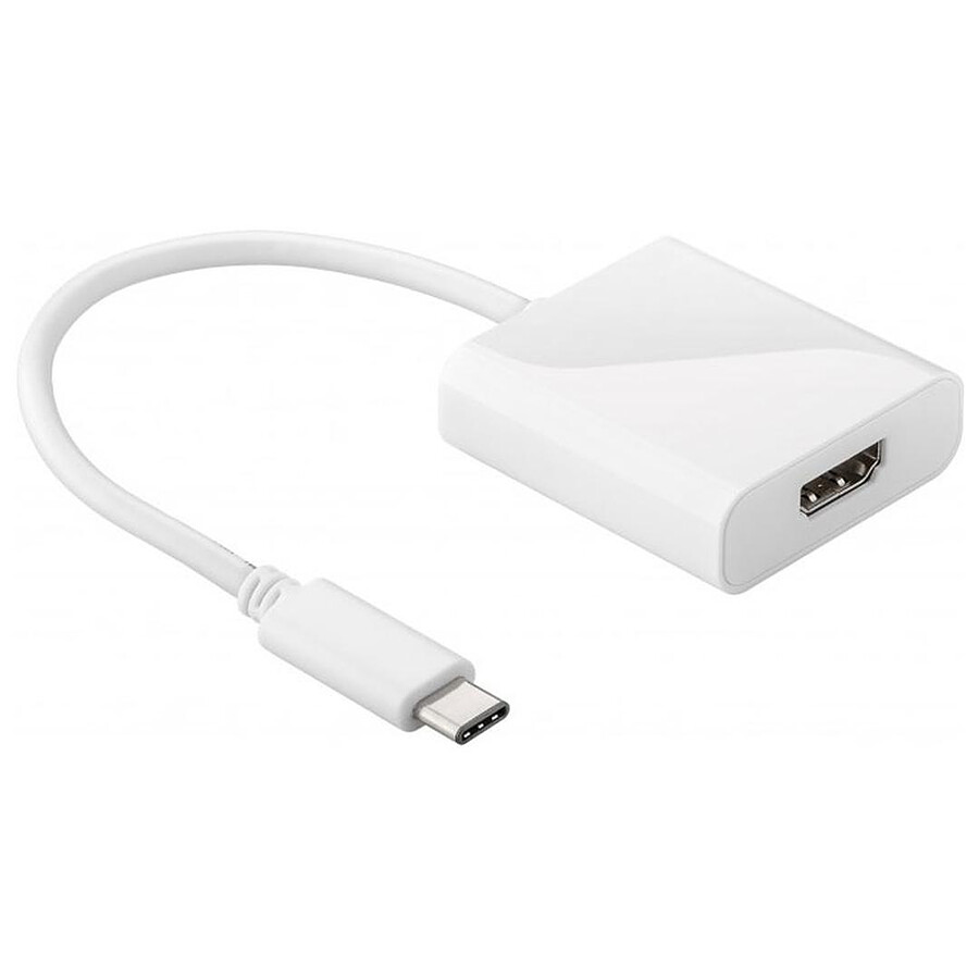 Adaptateur USB-C 3.1 vers HDMI 1.4