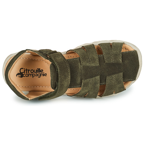 Citrouille et Compagnie - FILOLE - Kaki
