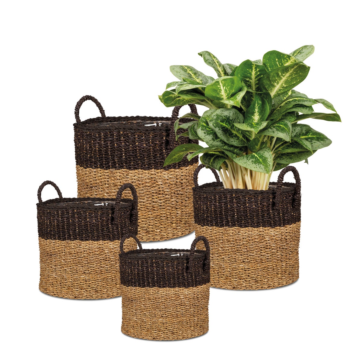 Scheurich Seagrass 37, plantenbak/mandpot met handgrepen van zeegras, kleur: Notenbruin, diameter 38 cm, hoogte 33 cm, inhoud 37,4 l.