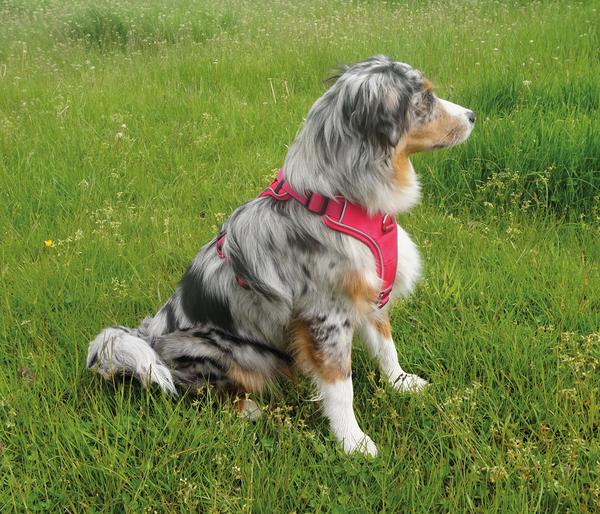 Nobby Komfort-Hundegeschirr Mailo