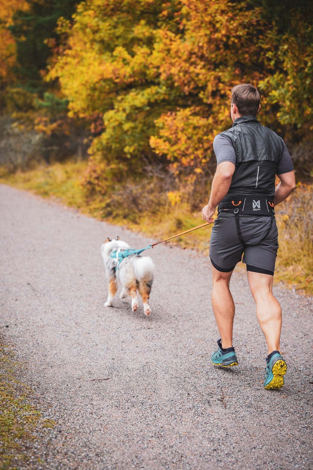 Non-Stop Dogwear Trekking Belt<br>Solid allround trekkbelte!