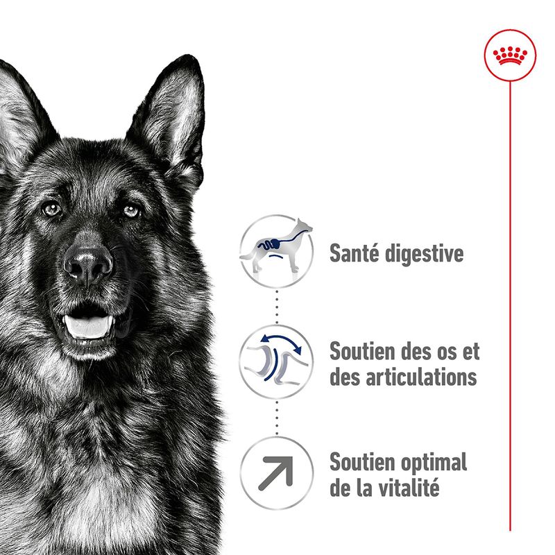 Royal Canin Maxi Adult 5+ à prix discount sur bitiba.fr
