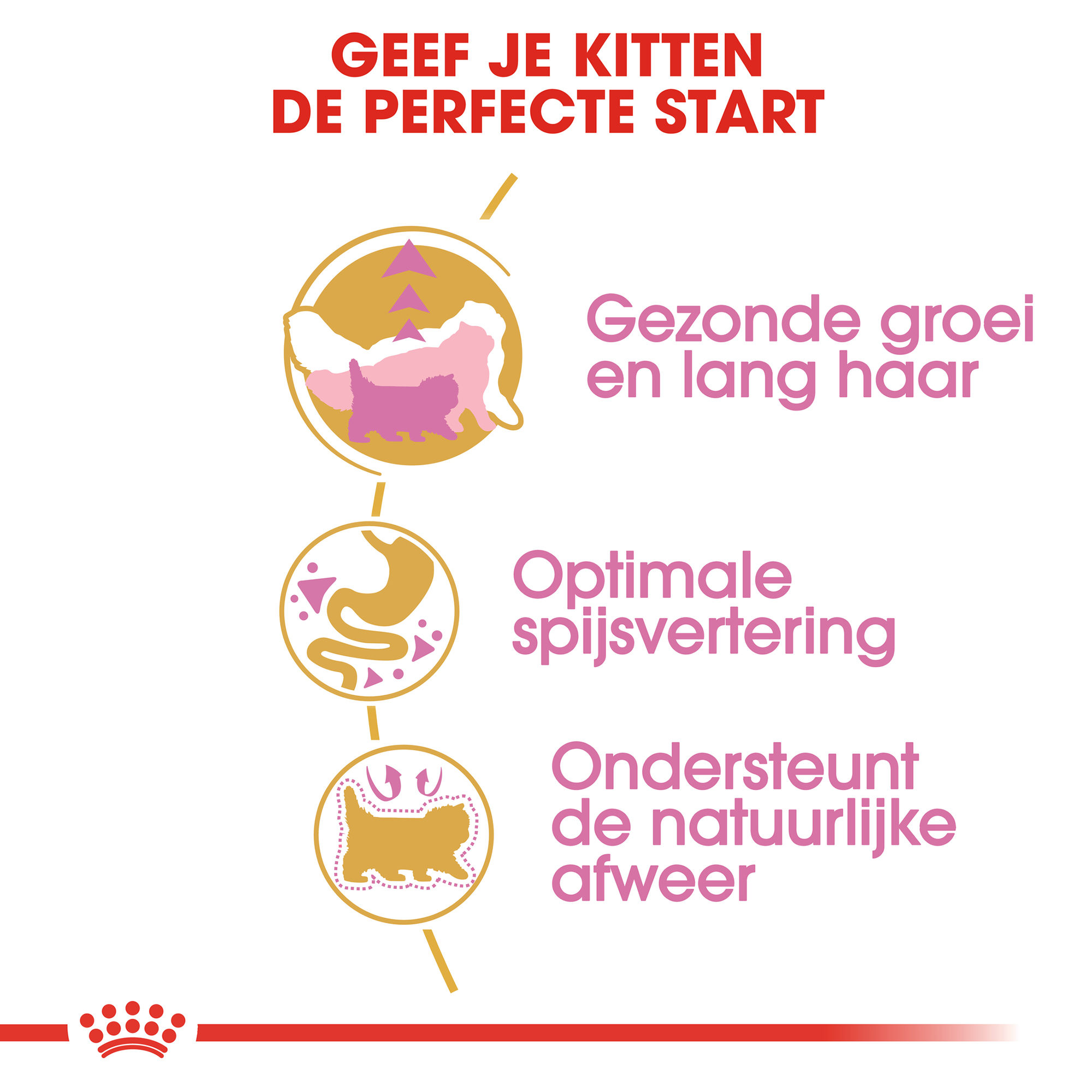 Royal Canin Persian Kitten - Kattenvoer