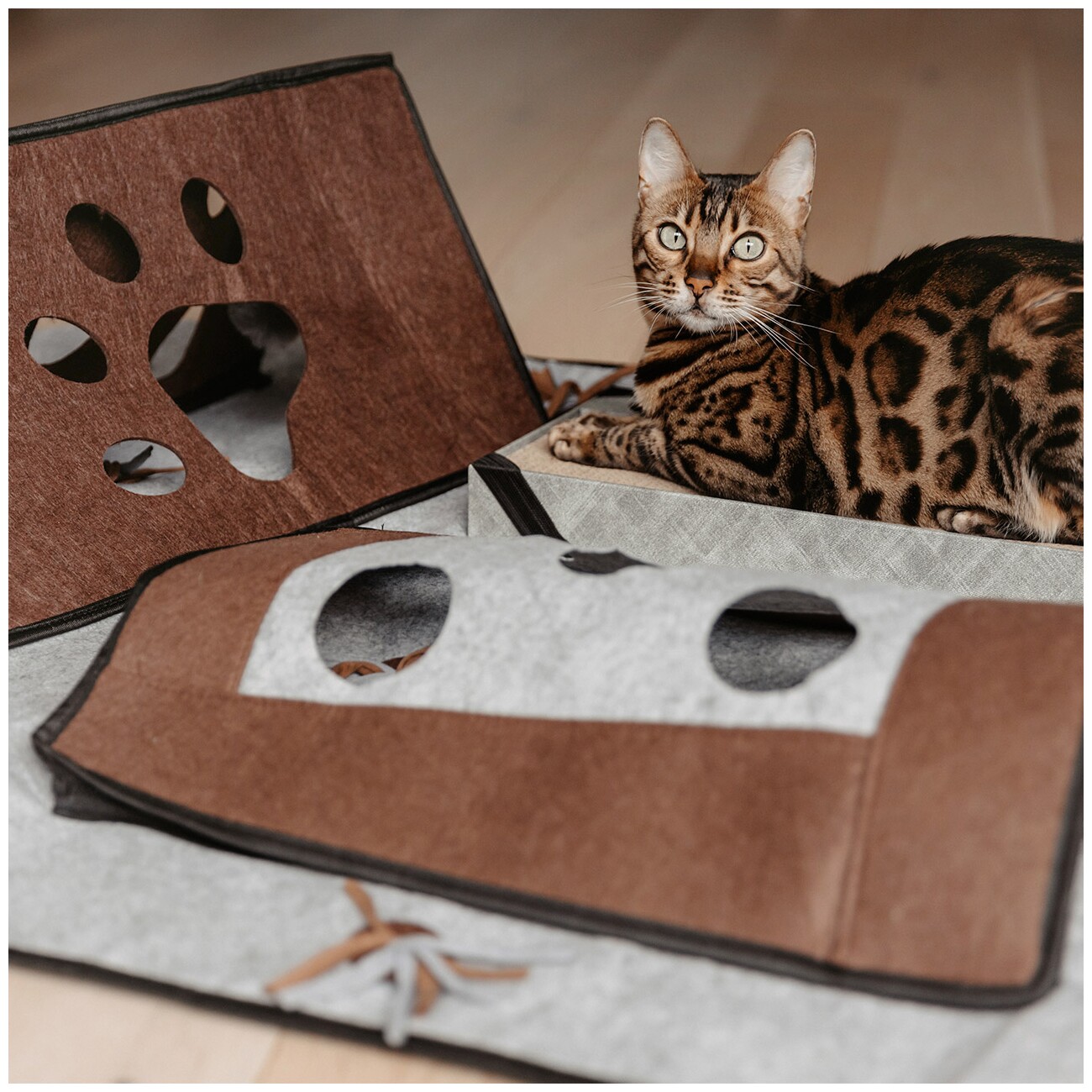 Canadian Cat Company Spielteppich Coleen